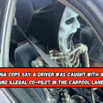 California cops say a driver was caught with a spooky and illegal co-pilot in the carpool lane.