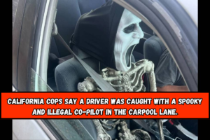 California cops say a driver was caught with a spooky and illegal co-pilot in the carpool lane.