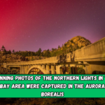 Stunning photos of the northern lights in the Bay Area were captured in the Aurora borealis