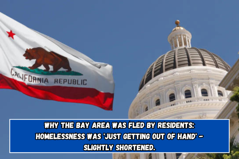 Why the Bay Area was fled by residents: Homelessness was 'just getting out of hand' - Slightly shortened.